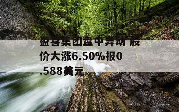 盈喜集团盘中异动 股价大涨6.50%报0.588美元